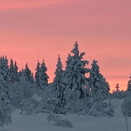 Pikkulaavu Saariselka