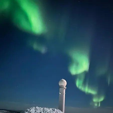 Pikkulaavu *