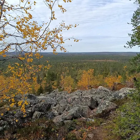 Pikkulaavu *