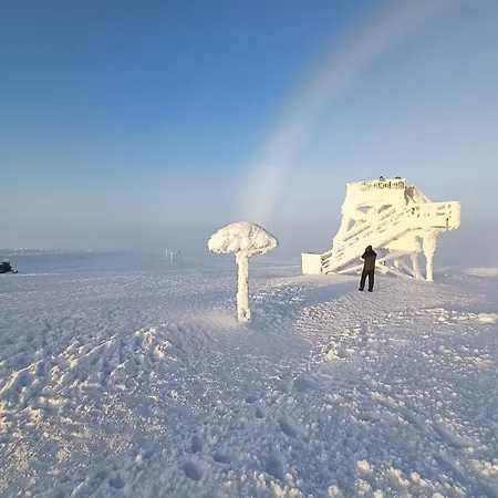Σαλέ Pikkulaavu