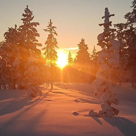 Pikkulaavu Шале Саариселькя