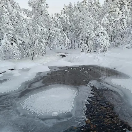 Pikkulaavu Шале *