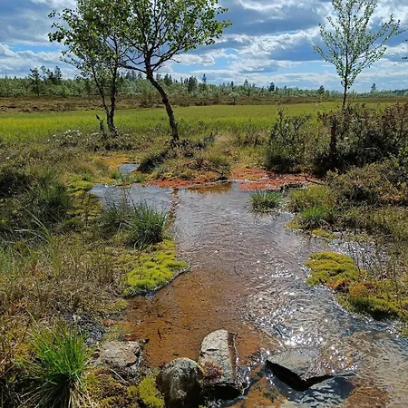Pikkulaavu *